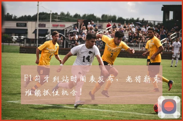 F1匈牙利站时间表发布，老将新秀谁能抓住机会！