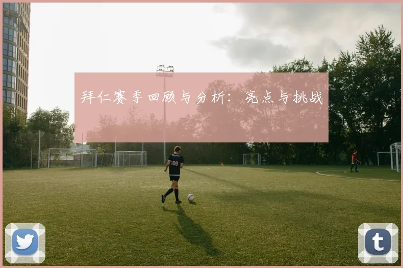 拜仁赛季回顾与分析：亮点与挑战