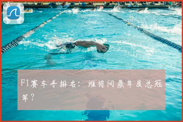 F1赛车手排名：谁将问鼎年度总冠军？